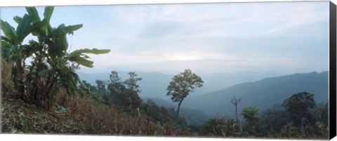 Framed Trees on a hill, Chiang Mai, Thailand Print