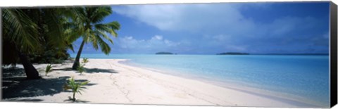 Framed Palm trees on the beach, Tapuaetai, Aitutaki, Cook Islands Print