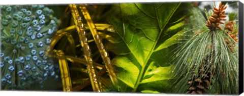 Framed Leaves with rain drops Print