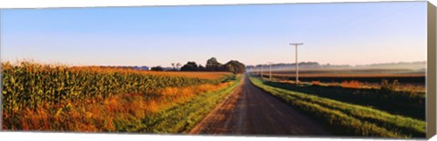 Framed Road Along Rural Cornfield, Illinois, USA Print