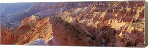 Framed Amphitheater, Cedar Breaks National Monument, Utah, USA Print