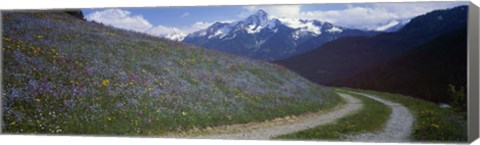 Framed Road Through Hillside, Zillertaler, Austria Print