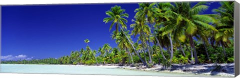 Framed Beach With Palm Trees, Bora Bora, Tahiti Print