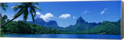 Framed Lush Foliage And Rock Formations, Moorea Island, Tahiti Print