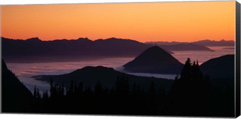 Framed Mount Rainier National Park, Washington Print