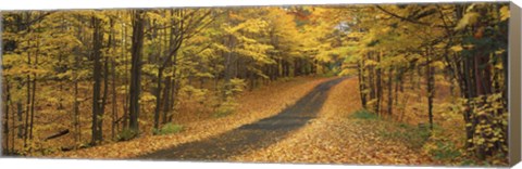 Framed Autumn Road, Emery Park, New York State, USA Print