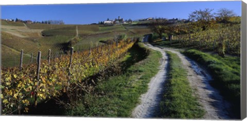 Framed Italy, Piemont, road Print