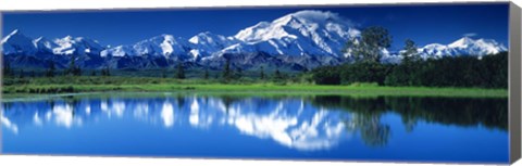 Framed Mt McKinley and Wonder Lake Denali National Park AK Print