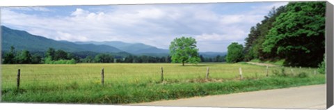 Framed Road Along A Grass Field, Cades Cove, Great Smoky Mountains National Park, Tennessee, USA Print