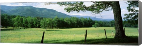 Framed Meadow Surrounded By Barbed Wire Fence, Cades Cove, Great Smoky Mountains National Park, Tennessee, USA Print