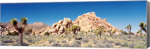 Framed Rock Formation In A Arid Landscape, Joshua Tree National Monument, California, USA Print