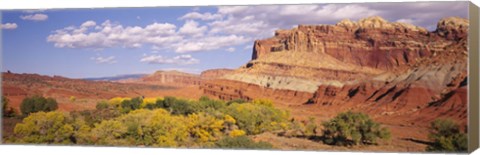 Framed Orchards in front of sandstone cliffs, Capitol Reef National Park, Utah, USA Print