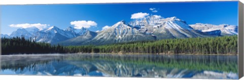 Framed Herbert Lake Banff National Park Canada Print