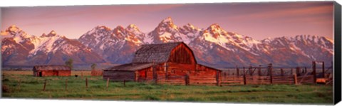 Framed Barn Grand Teton National Park WY USA Print