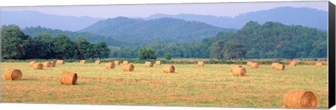 Framed Hay bales in a field, Murphy, North Carolina, USA Print