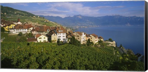 Framed Village Rivaz between Vineyards &amp; Mts. Lake Geneva Switzerland Print