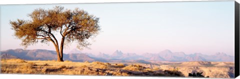 Framed Tree in a field with a mountain range in the background, Debre Damo, Tigray, Ethiopia Print