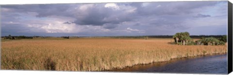 Framed USA, Florida, Big Cypress National Preserve along Tamiami Trail Everglades National Park Print