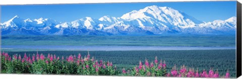 Framed Mountains &amp; Lake Denali National Park AK USA Print