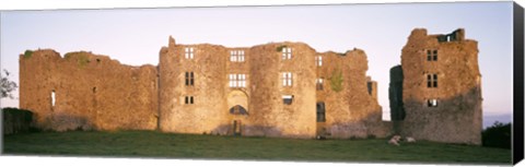 Framed Lawn in front of a landscape, Roscommon Castle, Roscommon County, Republic Of Ireland Print