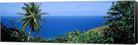 Framed Palm trees on the coast, Tobago, Trinidad And Tobago Print