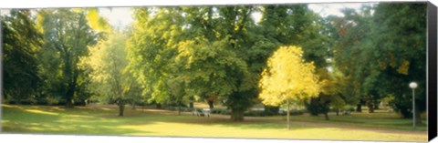 Framed Trees in a park, Wiesbaden, Rhine River, Germany Print