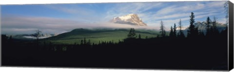 Framed Silhouette of trees with a mountain in the background, Canadian Rockies, Alberta, Canada Print