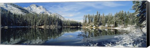 Framed Reflection of trees in a lake, Yellowstone National Park, Wyoming, USA Print