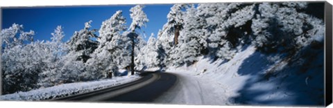 Framed Road passing through a forest, Lake Arrowhead, San Bernardino County, California, USA Print