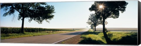 Framed Road passing through fields, Illinois Route 64, Illinois, USA Print