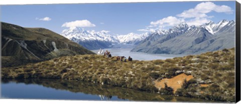 Framed Horse Trekking Mt Cook New Zealand Print
