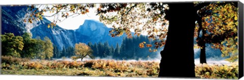 Framed Half Dome, Yosemite National Park, California, USA Print