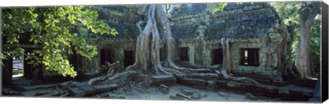 Framed Wat Temple Complex of Ta-Prohm Cambodia Print