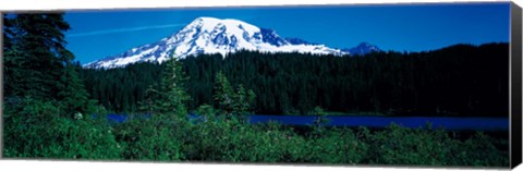 Framed Mt Rainier Mt Rainier National Park WA USA Print