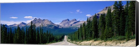 Framed Road In Canadian Rockies, Alberta, Canada Print