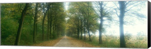 Framed Road With Fog, France Print