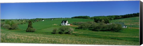 Framed Summer Fields And Houses, Prince Edward Island, Canada Print