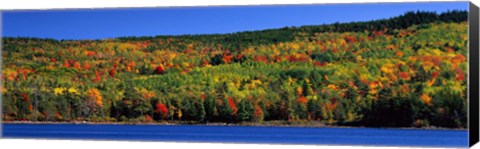 Framed Autumn Eagle Lake, Acadia National Park, Maine, USA Print