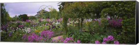 Framed Flowers In A Garden, Foundation Claude Monet, Giverny, France Print