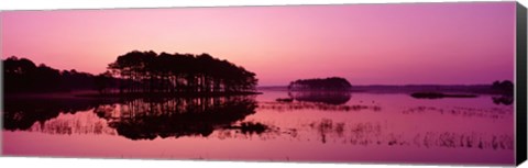 Framed Panoramic View Of The National Forest During Sunset, Chincoteague National Wildlife Refuge, Virginia, USA Print