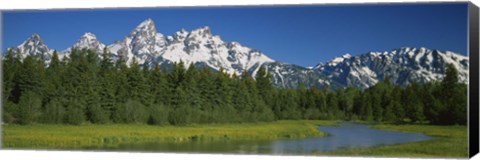 Framed Trees along a river, Near Schwabachers Landing, Grand Teton National Park, Wyoming Print