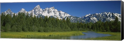 Framed Trees along a river, Near Schwabachers Landing, Grand Teton National Park, Wyoming Print