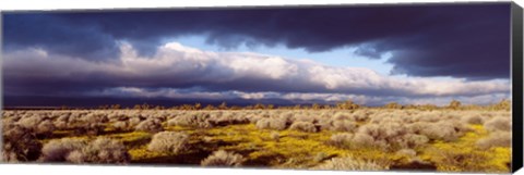 Framed Clouds, Mojave Desert, California, USA Print