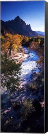 Framed High angle view of a river flowing through a forest, Virgin River, Zion National Park, Utah, USA Print