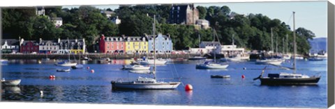 Framed Boats docked at a harbor, Tobermory, Isle of Mull, Scotland Print