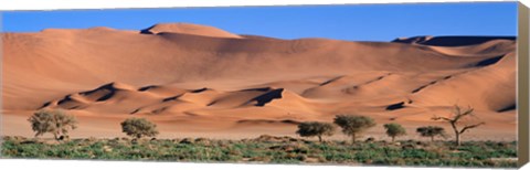 Framed Africa, Namibia, Namib Desert Print