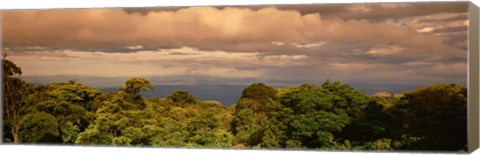 Framed Monteverde Puntarenas Province Costa Rica Print