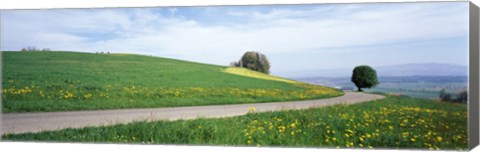 Framed Road Fields Aargau Switzerland Print