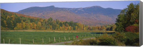 Framed Woman cycling on a road, Stowe, Vermont, USA Print