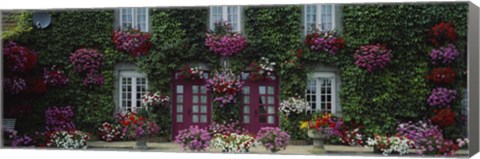 Framed Flowers Breton Home Brittany France Print